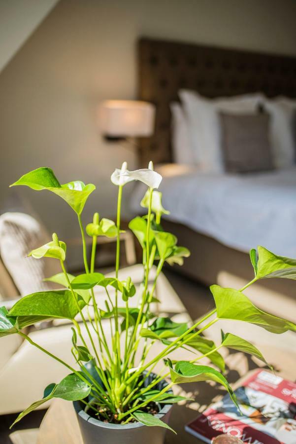Bed and Breakfast Aquarand Hofstade  Exteriér fotografie